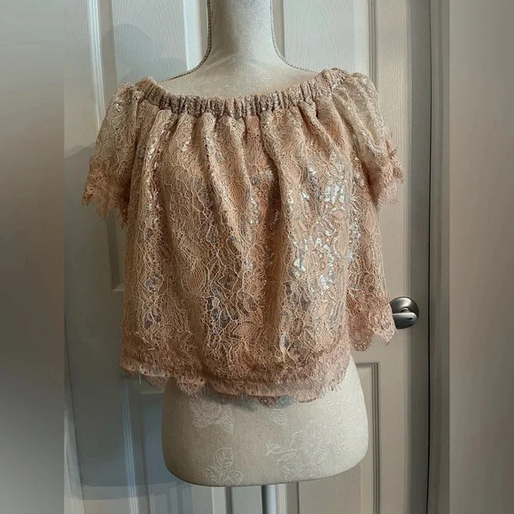 Revolve Endless Rose Off The Shoulder Shimmer light pink & silver top size M NWT - Picture 6 of 16